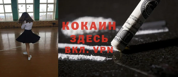 твердый Аркадак