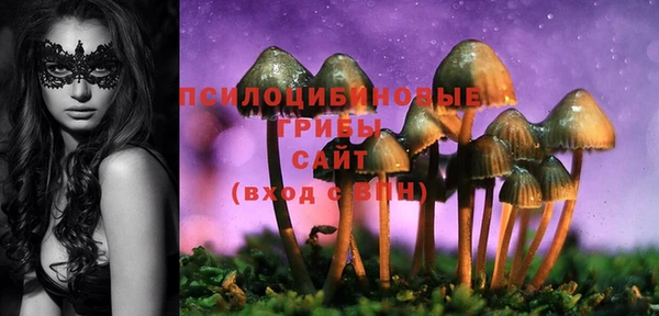 ПСИЛОЦИБИНОВЫЕ ГРИБЫ Балахна