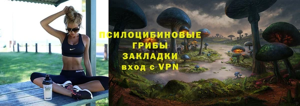 ПСИЛОЦИБИНОВЫЕ ГРИБЫ Балахна