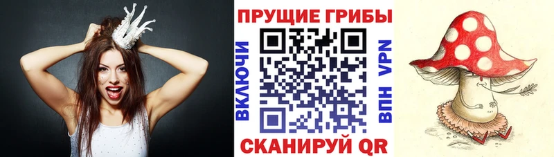 Галлюциногенные грибы прущие грибы  OMG ТОР  Белинский 