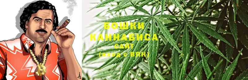 Бошки марихуана OG Kush  сколько стоит  Белинский 